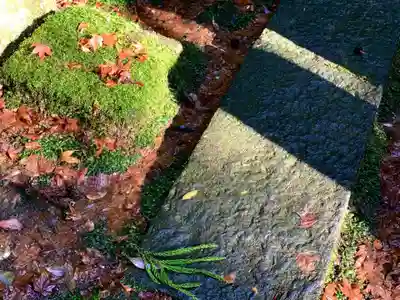 大寧寺(山口県)