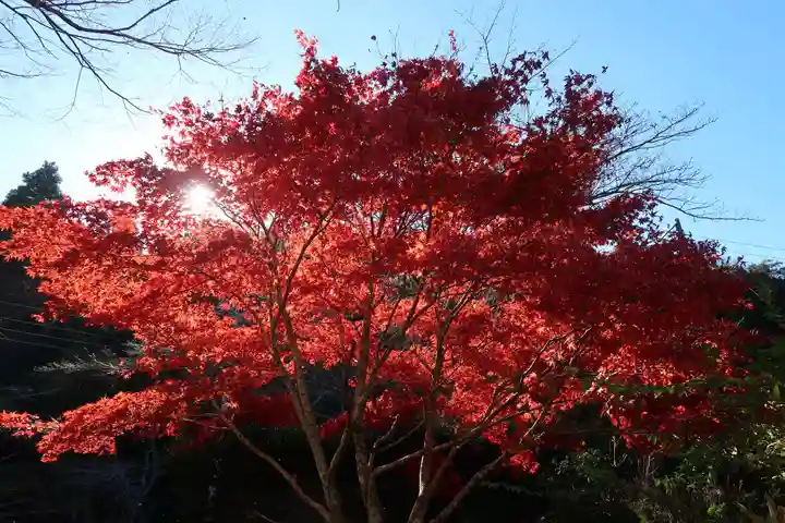 修禅寺 奥の院(静岡県)
