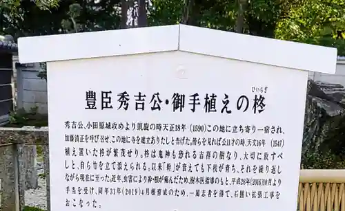 太閤山常泉寺の歴史