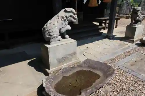 長屋神社の狛犬