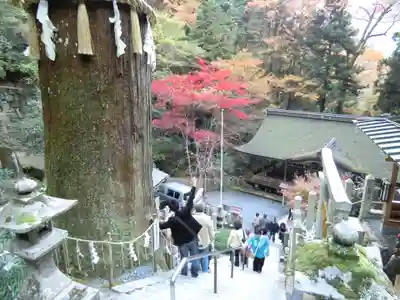 鞍馬寺(京都府)