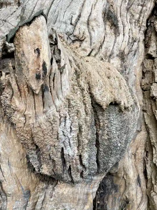 妙雲寺(東京都)