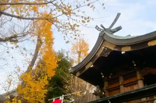 飛木稲荷神社の本殿