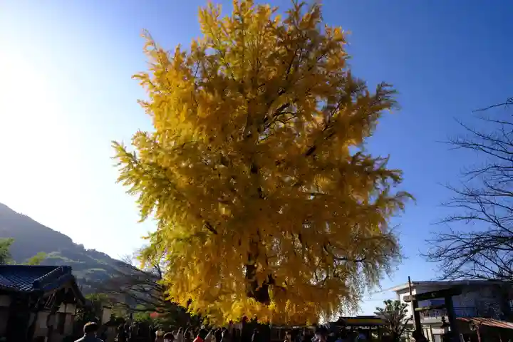 丹生酒殿神社(和歌山県)