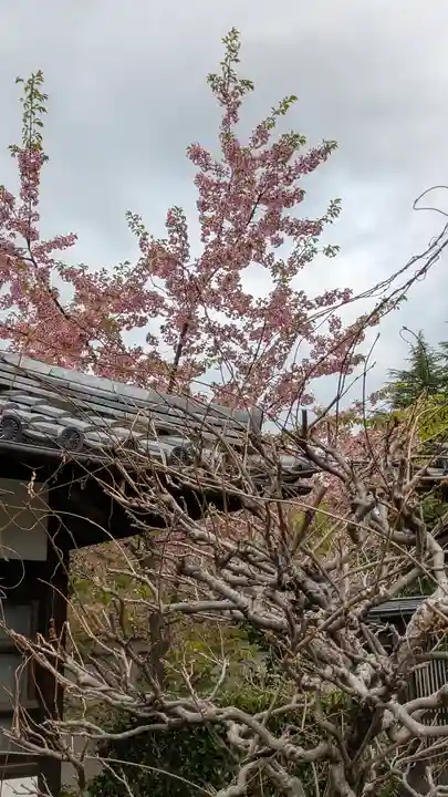 後白河院御聖蹟 法住寺(京都府)