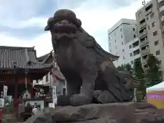 浅草神社(東京都)