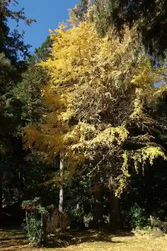 修禅寺　奥の院(静岡県)