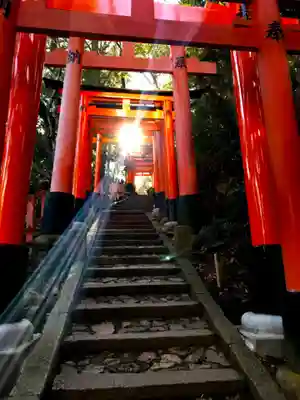 伏見稲荷大社の鳥居