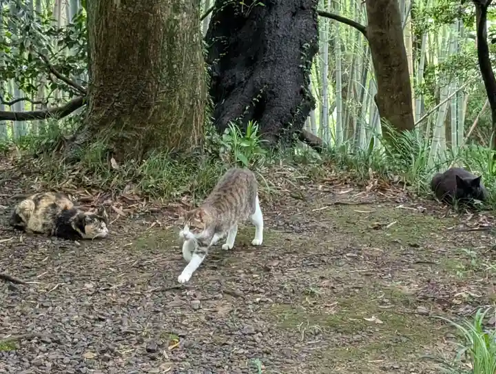 唐澤山神社(栃木県)