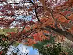 大神神社(奈良県)