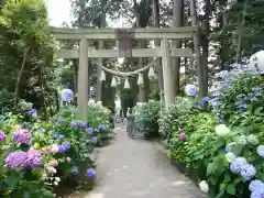 磯山神社の鳥居