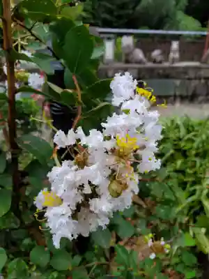 沙沙貴神社(滋賀県)