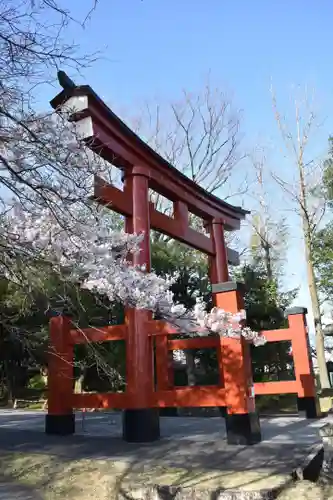 一之宮貫前神社の鳥居