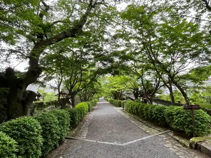 西教寺(滋賀県)