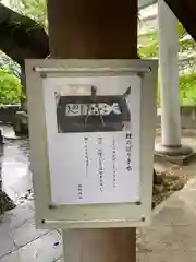 熊野神社(東京都)