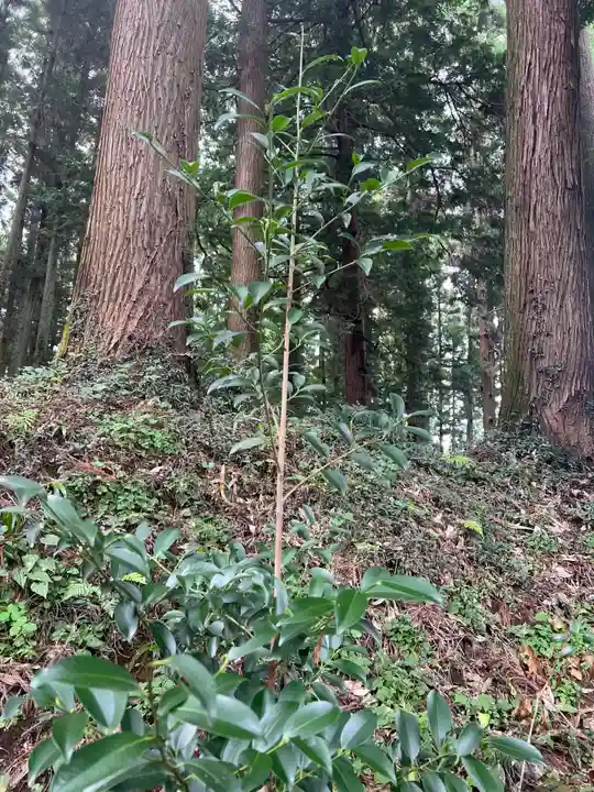 大宮温泉神社の自然