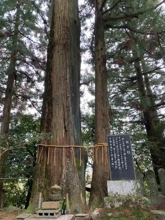 諭鶴羽神社(兵庫県)