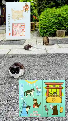 白金氷川神社の御朱印帳