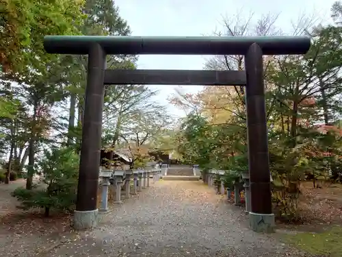 信濃神社の鳥居