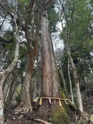 貴船神社結社の{uncategorized: "未分類", other: "その他", undefined: "問題あり", building: "その他建物", grave: "お墓", sacred_gate: "鳥居", guardian: "狛犬", statue: "像", buddha: "仏像", history: "歴史", nature: "自然", garden: "庭園", animal: "動物", pagoda: "塔", temizu: "手水舎", mountain_gate: "山門・神門", sanctuary: "本殿・本堂", subordinate: "末社・摂社", art: "芸術", scenery: "景色", jizo: "地蔵", ema: "絵馬", goshuin: "御朱印", omikuji: "おみくじ", items: "授与品その他", amulet: "お守り", goshuincho: "御朱印帳", eats: "食事", festival: "お祭り", votive_dance: "神楽", shichigosan: "七五三参", wedding: "結婚式", experience: "体験その他", initially: "初詣", around: "周辺", anti_infection: "感染症対策"}