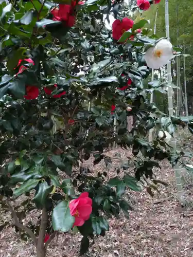 梶原八幡神社の庭園