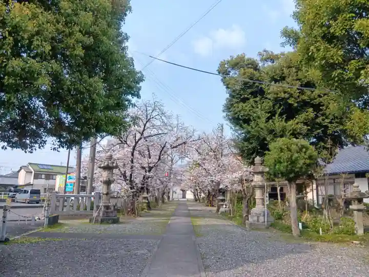 酒見神社の御朱印