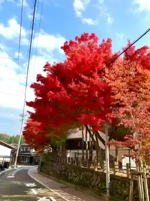 飛驒護國神社の周辺