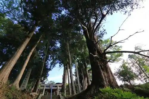 阿久津「田村神社」（郡山市阿久津町）旧社名：伊豆箱根三嶋三社の鳥居