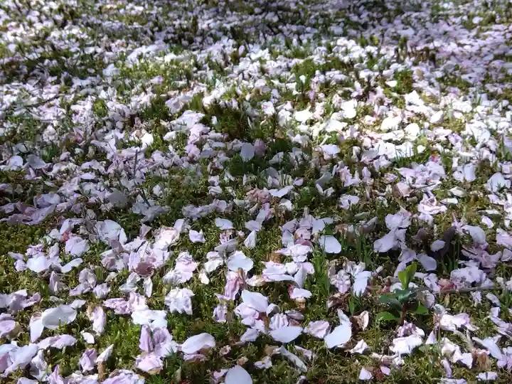 常照皇寺(京都府)