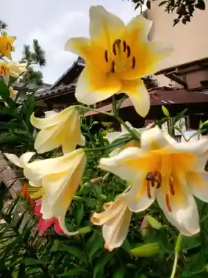 本郷氷川神社(東京都)