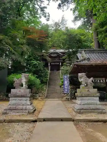 鎌形八幡神社の狛犬