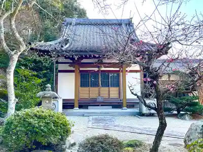 円通寺の本殿・本堂