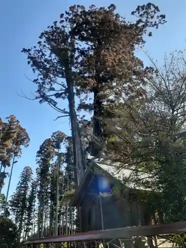 鹿嶋三嶋神社(茨城県)