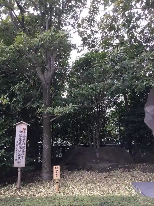 寒川神社の自然