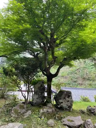 洞谷寺(京都府)