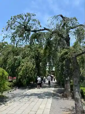 三嶋大社(静岡県)