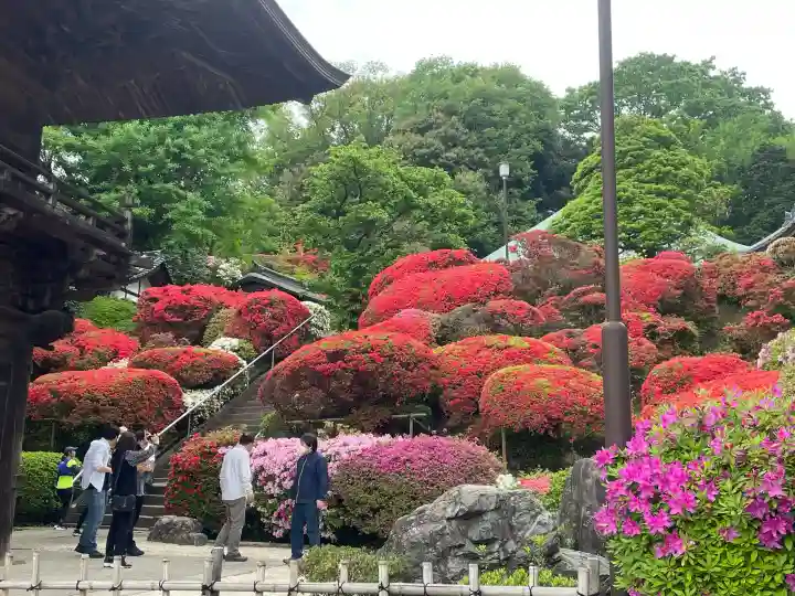 等覚院(神奈川県)