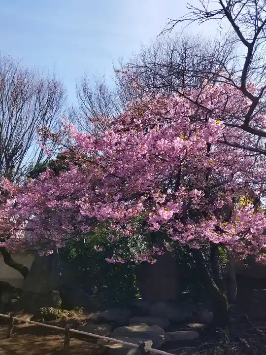 新井薬師(梅照院)(東京都)
