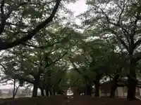 東蕗田天満社のその他建物