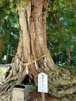 揖夜神社(島根県)