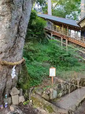 丹生川上神社（下社）の自然