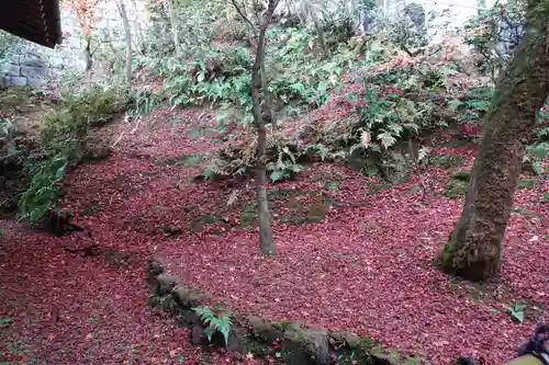 禅林寺（永観堂）(京都府)