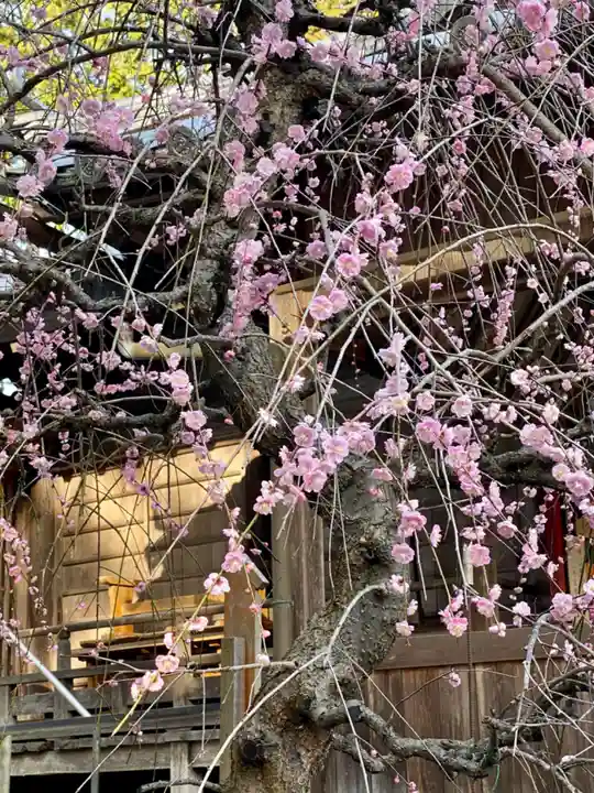 若狭野天満神社のその他建物