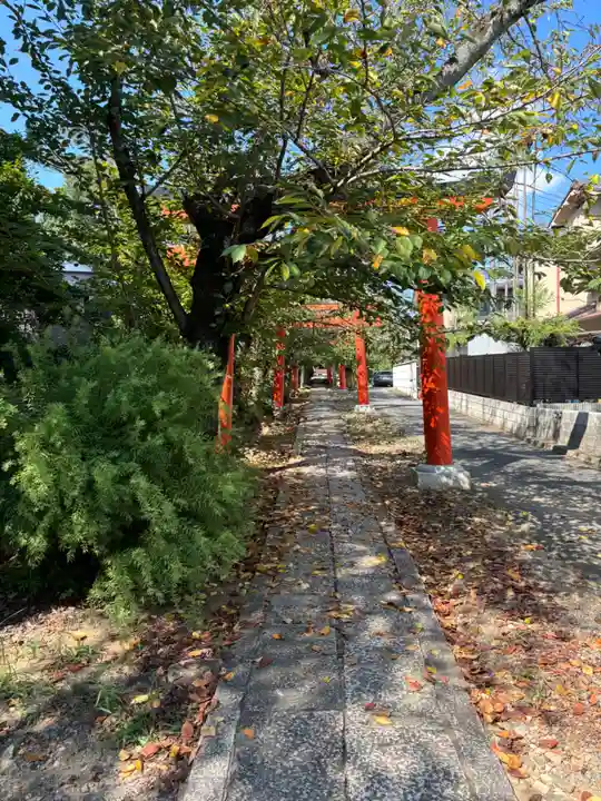 竹中稲荷神社(吉田神社末社)(京都府)