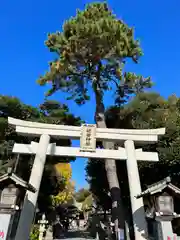 菊田神社の鳥居