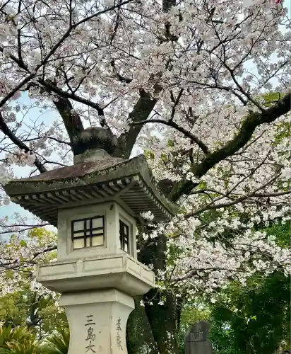 三嶋大社(静岡県)