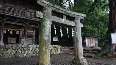 武田八幡宮の鳥居