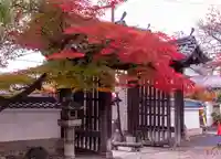 離宮八幡宮(京都府)