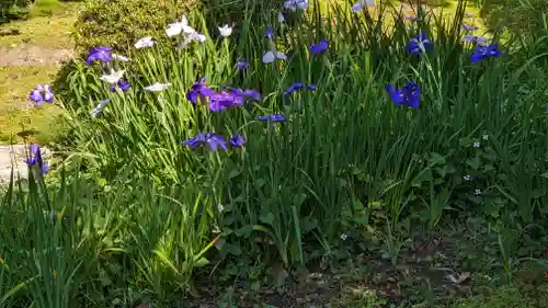 法金剛院(京都府)