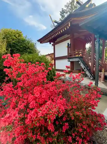 崇道天皇社(奈良県)